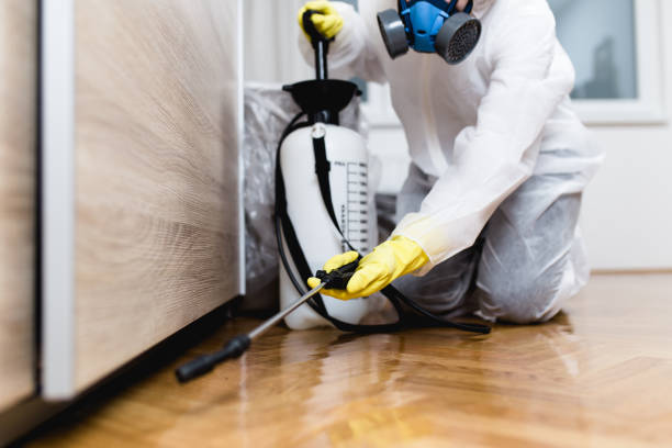 Best Residential Pest Control  in Kiel, WI