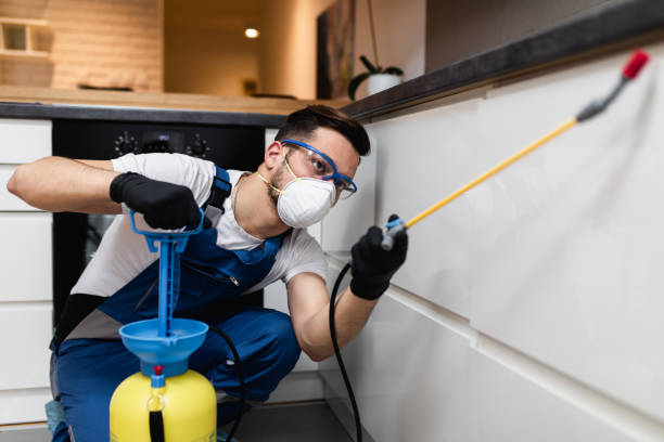 Trusted Kiel, WI Pest Control Experts