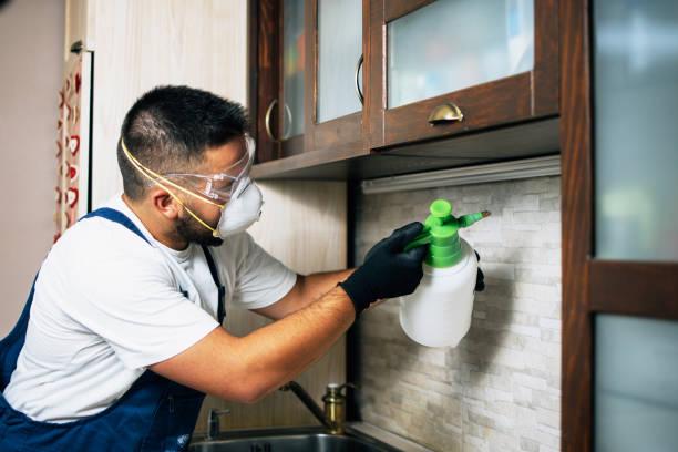 Best Local Pest Control Services  in Kiel, WI