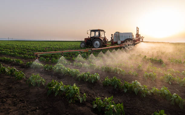 Best Pest Removal Services  in Kiel, WI