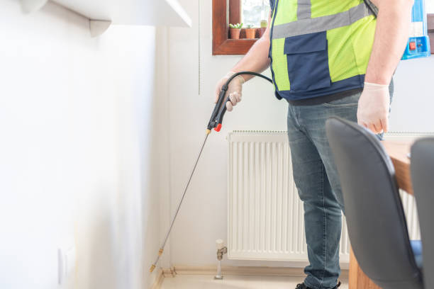 Best Wasp Removal Services  in Kiel, WI
