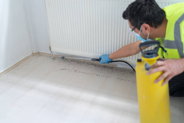 Wasp Removal Services in Kiel, WI