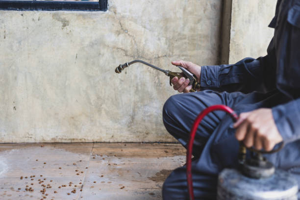 Best Pest Control for Restaurants  in Kiel, WI